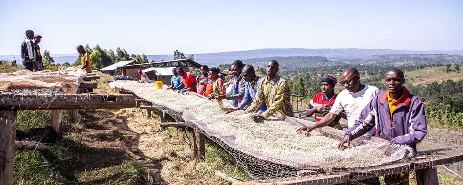 Empowering coffee growers