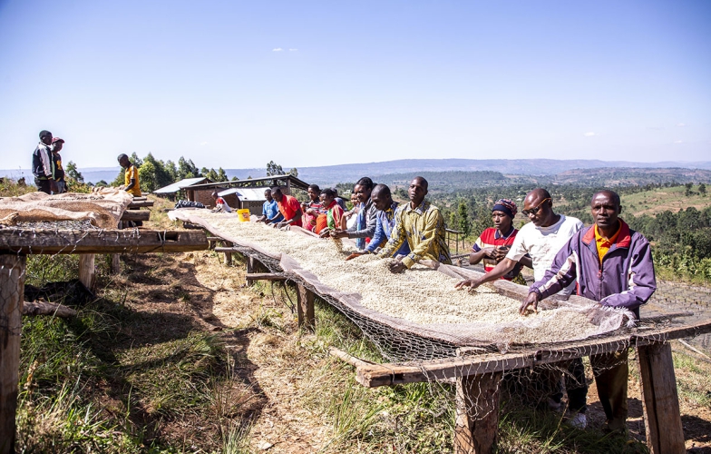 Empowering coffee growers